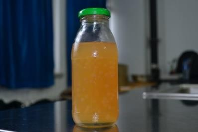 红枣竹笋乳酸发酵果粒饮料